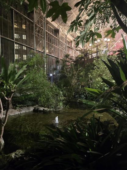 Barbican Conservatory. Pond