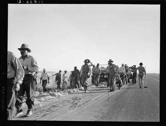 A black and white photograph showing a group of migratory agricultural workers walking down the road, heading away from their work in cotton fields. They are dressed casually with hats or caps to shield them from the sun, many carrying tools such as rakes or shovels indicative of their laborious jobs. The scene appears dry and arid, typical for California during harvest seasons. Notably absent is any modern technology suggesting a time period possibly mid-20th century or earlier given Dorothea Lange's work style.