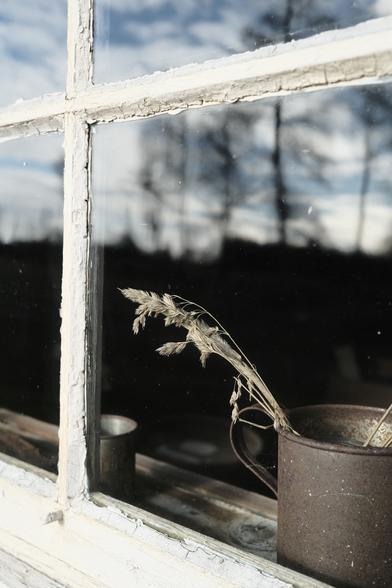 Närbild tagen utifrån och in genom ett spröjsat gammalt fönster. I glaset speglar sig himlen och träden och innanför på fönsterbrädan står en liten kruka med några torra halmstrån i.