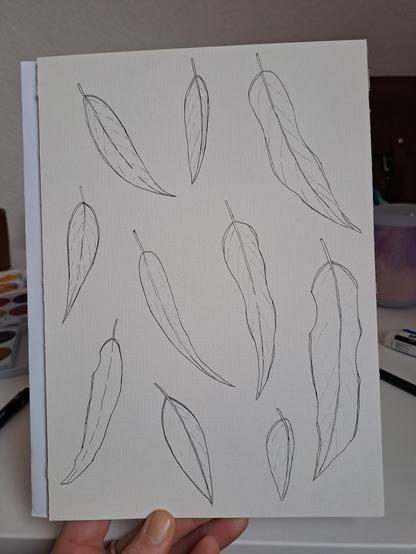 A sheet of heavy weight paper with outlines of gum leaves.