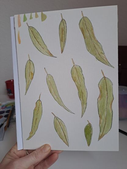 Those same gum leafs, coloured with watercolours.
