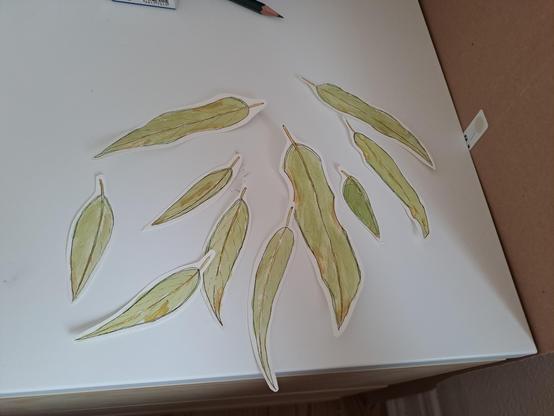 The gum leaves cut out