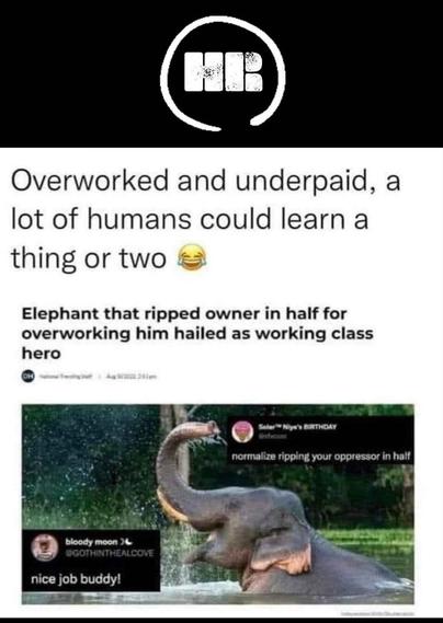 News headline "elephant that ripped owner in half for overworking him hailed as working class hero", commented: "Overworked and underpaid, a lot of humans could learn a thing or two"