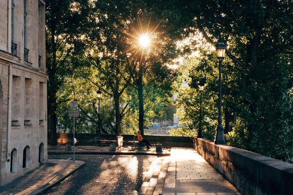 a photo of a man sitting on a bench on Place Louis Aragon with trees behind him and the sun shining through the tree branches