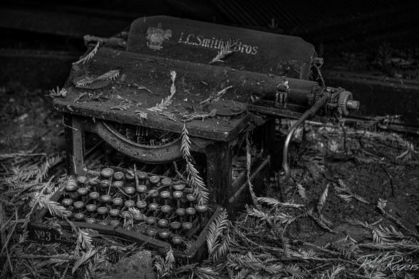 An old manual typewriter sits silent on a forest floor, covered in pine needles.