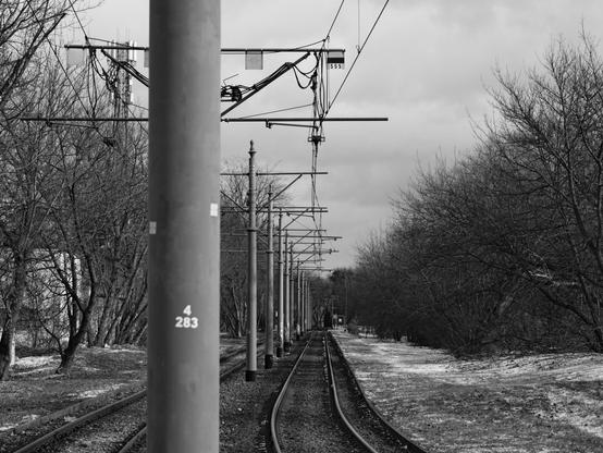 The image shows a black and white photograph of railway tracks flanked by utility poles. The tracks run through a wooded area with bare trees, suggesting a winter or late autumn setting. Overhead electrical lines are visible, and there is a focus on the symmetry and perspective of the tracks and poles.