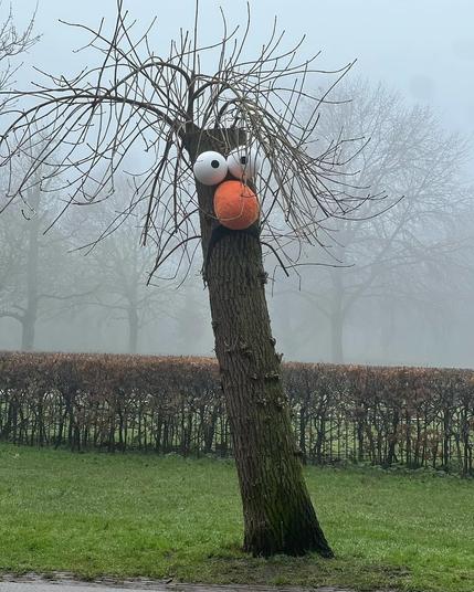 Ein kupierter Baum im Winter. Es ist nebelig. Der Baum wurde mit Augen einer Nase und einem Mund dergestalt geschmückt dass er an beaker Von den Muppets erinnert