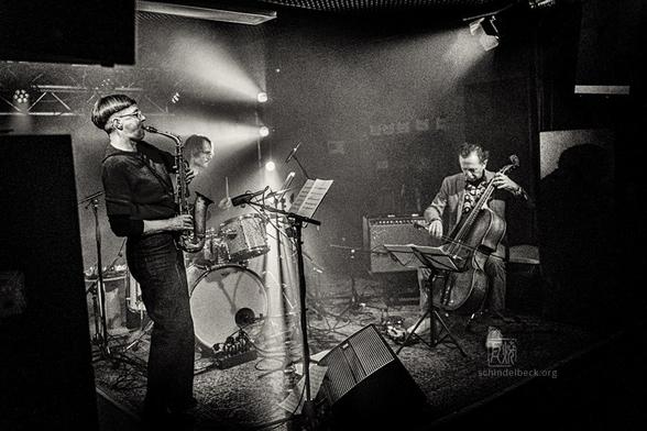 Das Trio Fink 70 Revisited in der Krea Wiesbaden - Foto des Liveauftritts von Frank Schindelbeck Fotografie.