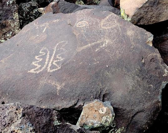 A basalt rock with a collection of petroglyphs on its top surface. The main glyph might be a butterfly. You can also see a small spiral, and a sort of geometric pattern, plus newer think scratches added much more recently.