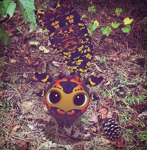 A black and lava-colored dot standing near a pine cone. It had the pattern chaos trait Poison Frog.