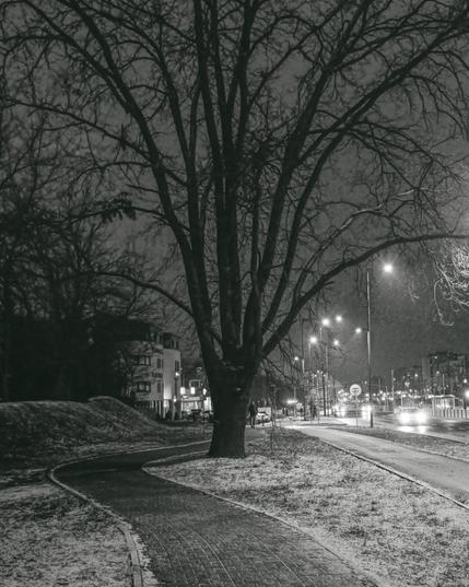 The image depicts a black and white scene of a tree by a sidewalk at night. There is a road with streetlights and passing cars in the background. The ground appears to have a light dusting of snow, creating a winter atmosphere. Buildings and a person walking can also be seen in the distance.