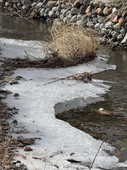 A creek bed covered with ice.
