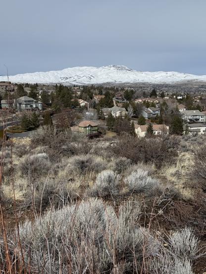 Dried brushes in foreground, houses, then the snowy mountains in far back. Sky is gray.