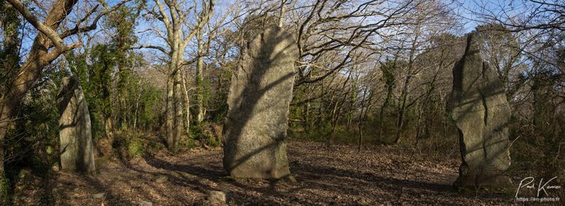 Photo en couleur présentant trois menhirs dans un bois sous un ciel clair d'hiver générant des ombres de la ramure des arbres sur les menhirs.