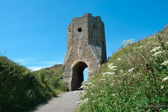 a gate at dover castle with grass and flowers in the foreground and the blue sky in the background