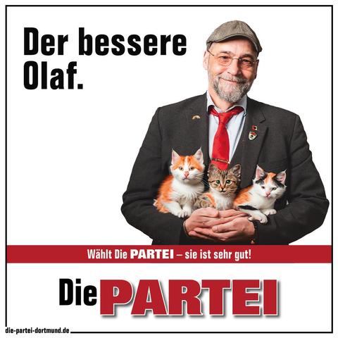 Sharepic, auf dem ich drei süße Kätzchen auf dem Arm habe. Nebenstehend der Spruch: Der bessere Olaf.