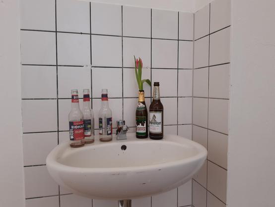 Ein Waschbecken vor einer weiß gefliesten Wand. Darauf Flaschen, in einer steckt eine Tulpe