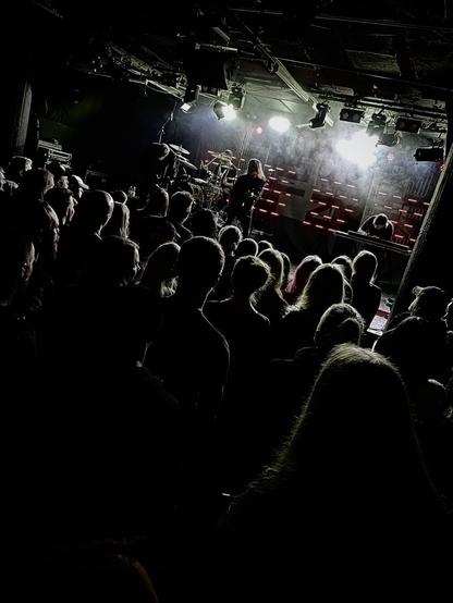 Crowd watching band called Sara on stage at Lutakko Club