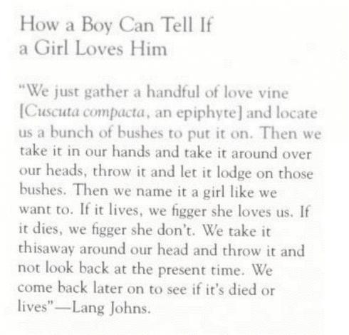 From naturalist Francis Harper in his book "Okefinokee album".  -  Entry reads: 
"How a Boy Can Tell If a Girl Loves Him 
"We just gather a handful of love vine [Cuscuta compacta, an epiphyte] and locate us a bunch of bushes to put it on. Then we take it in our hands and take it around over our heads, throw it and let it lodge on those bushes. Then we name it a girl like we want to. If it lives, we figger she loves us. If it dies, we figger she don't. We take it this away around our head and throw it and not look back at the present time. We come back later on to see if it's died or lives"-Lang Johns."