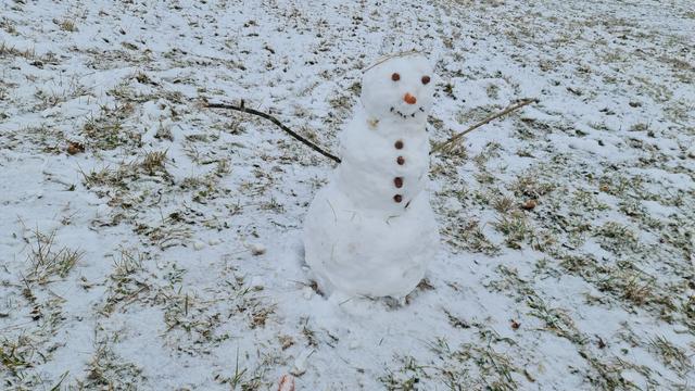 Der Schnee nicht dick genug um das Gras der Wiese ganz zu bedecken, aber für einen kleinen Schneemann hats jemandem gereicht.