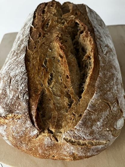 Ein Laib frisch gebackenes Brot liegt auf einem hellbraunen Holzbrett. Das Brot hat eine rustikale, unregelmäßige Form mit einer tiefen, länglichen Kerbe in der Mitte, die die poröse Krume freilegt. Die Kruste ist dunkelbraun mit Stellen, die mit Mehl bestäubt sind, was dem Brot ein leicht staubiges Aussehen verleiht. Das Brot wirkt knusprig und einladend. Der Hintergrund ist schlicht und weiß, was den Fokus auf das Brot lenkt.

Bereitgestellt von @altbot@fuzzies.wtf, generiert mit Gemini