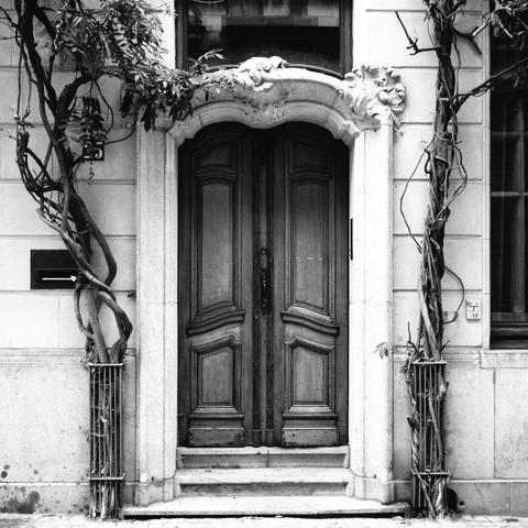 black and white photo of an elaborately decorated wooden, double front-door in Antwerp, twisted twines grown up on both sides of the doorway