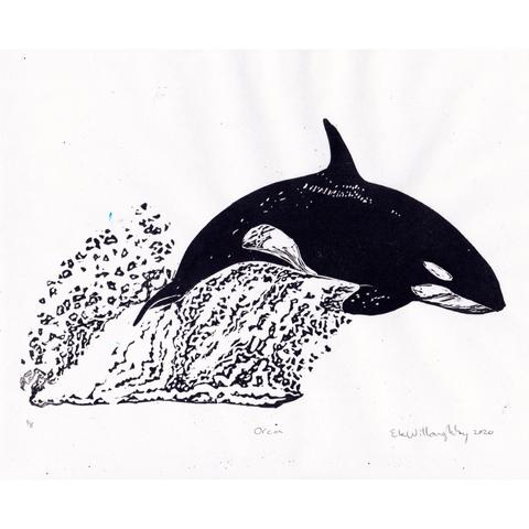 My  linocut orca whale is leaping out of the water leaving a trail of splashed droplets of water from the sea surface. It’s printed in black on white paper.
