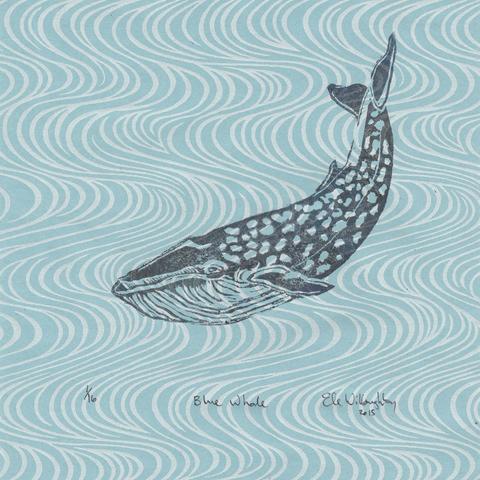 My linocut print of a diving blue whale in profile printed in blue grey ink on pale blue Japanese washi paper with screen printed vertical silver wavy lines.