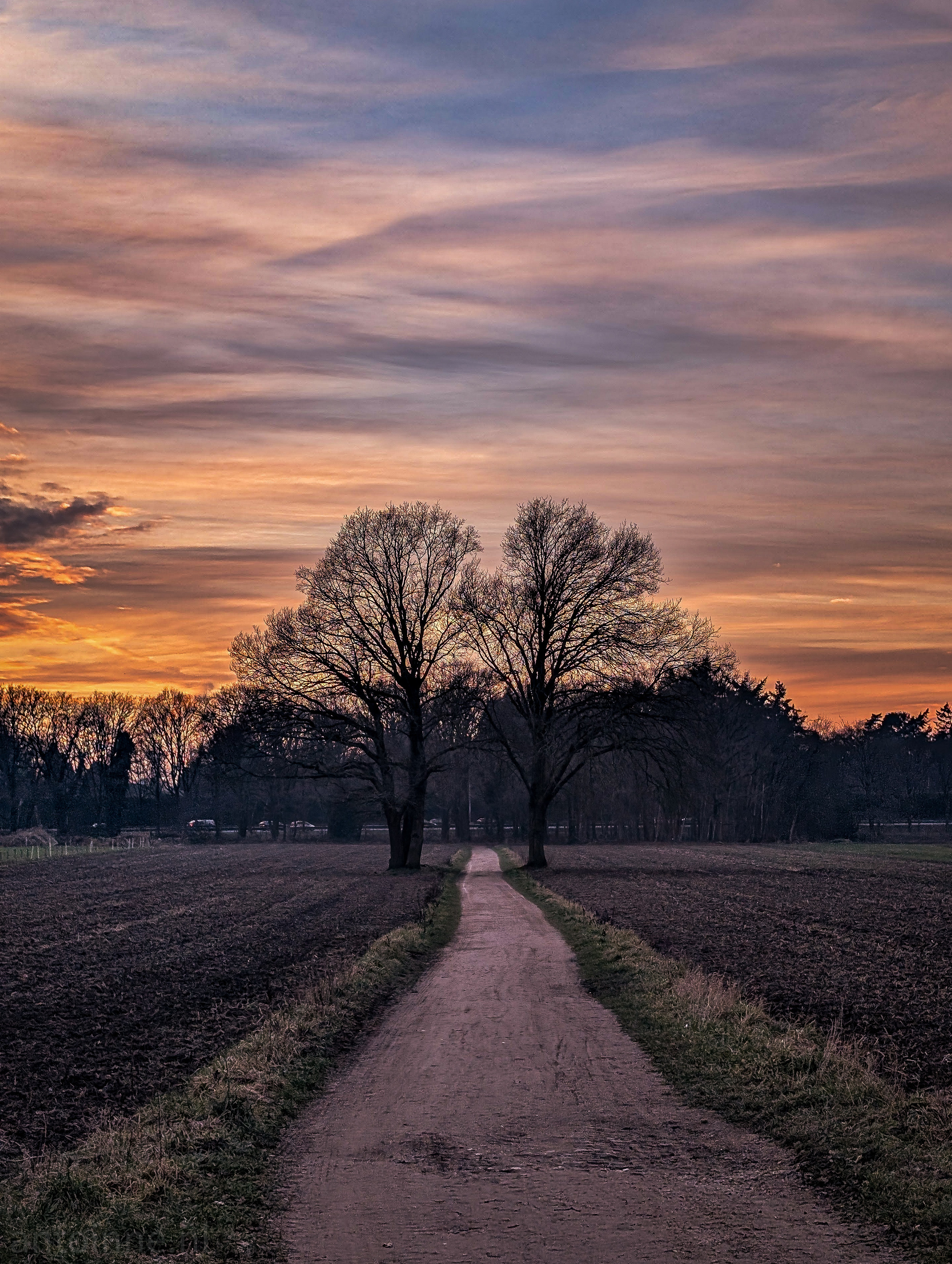 A gravel road through a field at dusk. Two bare trees stand tall on either side of the road. Their silhouettes stand out against a sky of vibrant orange, pink, purple and blue.