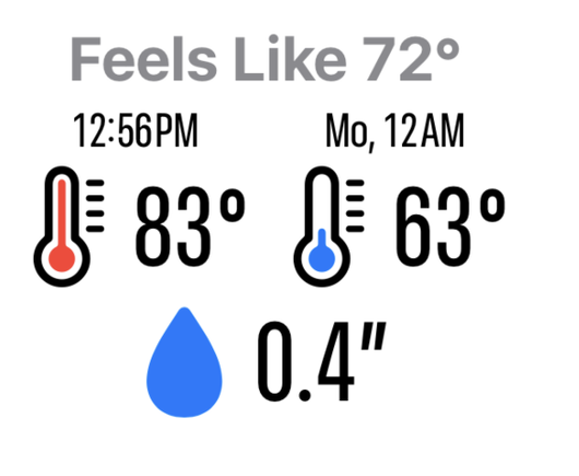 Please Don't Rain showing a forecast but now there are times above the high and low temperatures.