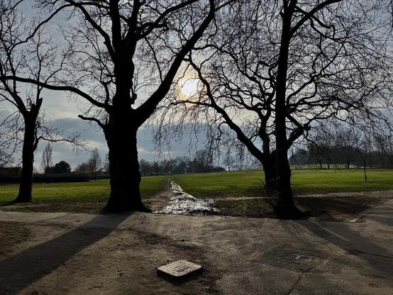 a walk in the park (literally)