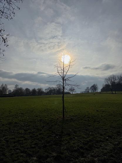 a walk in the park (literally)