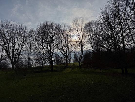 a walk in the park (literally)