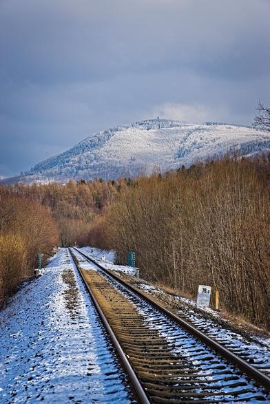 Zimní krajina, železniční trať vedoucí do lesa, vpravo i vlevo stromy, nad nimi se tyčí Velký Javorník s rozhlednou