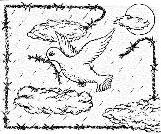 Dessin intitulé "Precarious Peace". Il représente une colombe au milieu d'un cadre de fils barbelés. La colombe tiens dans son bec un morceau de la frontière qu'elle vient d'arracher. Elle est tournée dans l'autre sens, il pleut - la paix reste fragile -