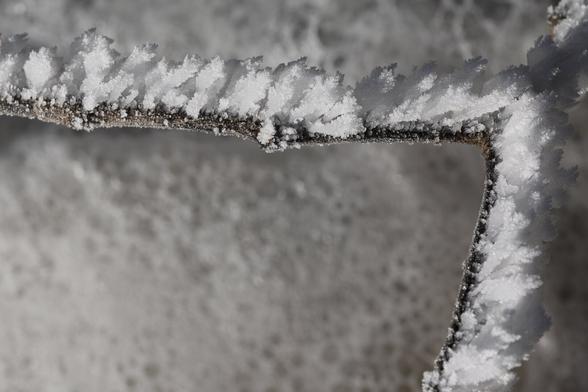 A photo of frost on a branch.