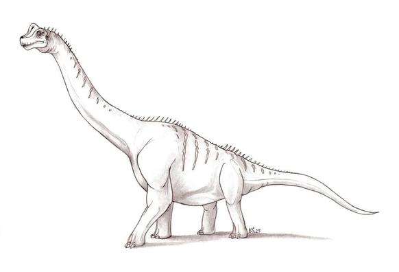 A pencil drawing showing a Brachiosaurus facing to the left, it has slightly bigger, cute eyes.