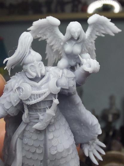 Captain worth his companion shoulder harpy which has awesome feathers. And boobs. Bird boobs. The captain himself is wearing scale mail armor, an ornate helmet with a top knot and a cape that has a bear's Paw on and probably more bear parts.