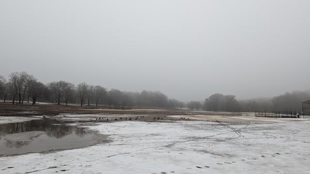 Landscape photo of a park in winter with partly melted snow