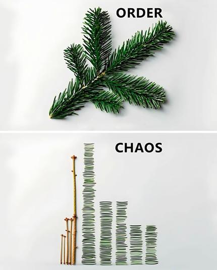 Image comparative illustrant les concepts d'ordre et de chaos à travers des éléments naturels.

En haut, sous le mot 'ORDER', une branche de sapin bien organisée avec des aiguilles vertes disposées de manière symétrique et structurée.

En bas, sous le mot 'CHAOS', plusieurs branches de sapin disposées verticalement du plus petit au plus grand, avec des aiguilles rangées les unes sur les autres créant une impression de représentation graphique et mathématiques avec des colonnes.