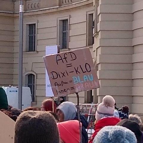 Demoschild:
AfD = Dixi-Klo
Außen=Blau
Innen=Braun