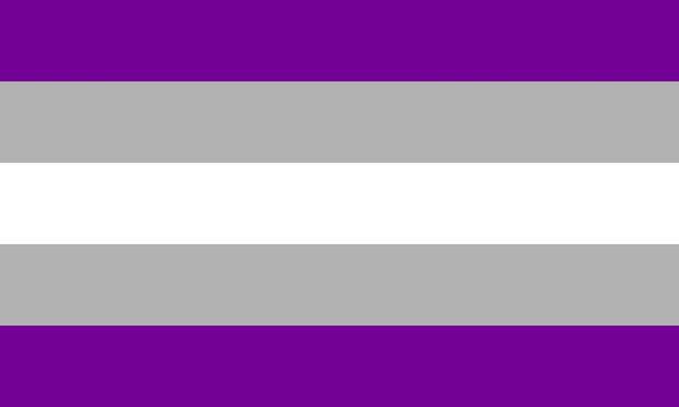 Greysexual flag