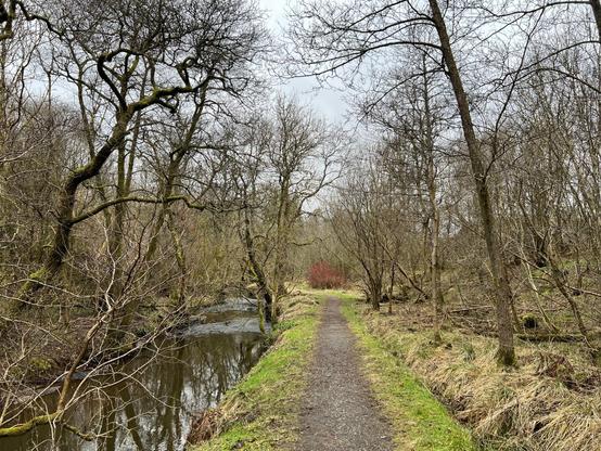 A gravel path next to a river. Trees and branches on both sides. The trees have no leaves left. There’s a small strip of green grass on both sides of the narrow path.