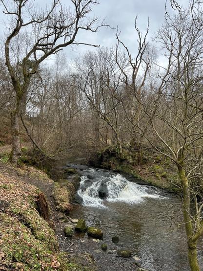 A small waterfall in a river. Trees—currently without leaves—grow on both riverbanks.
