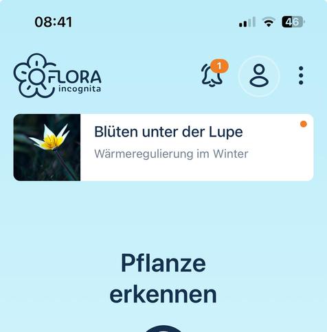 Screenshot der Startseite der Flora-Incognita-App. Zu sehen ist eine Notification, die im Vorschaubild eine wilde Tulpe zeigt. Daneben stehen zwei Überschriften: Blüten unter der Lupe. Wärmeregulierung im Winter