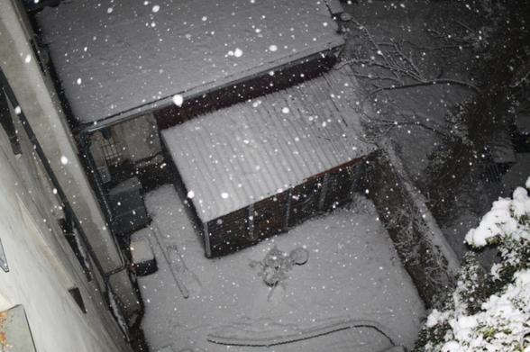 Wedding, Innenhof, Winter. Snowflakes in flash light.
