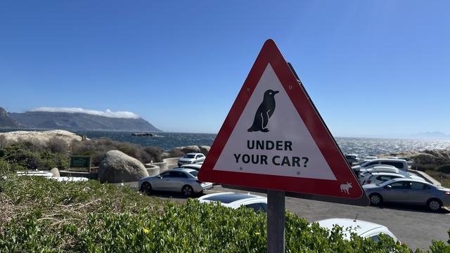 Parking lot near a beach with a warning sign to check for penguins under your car.