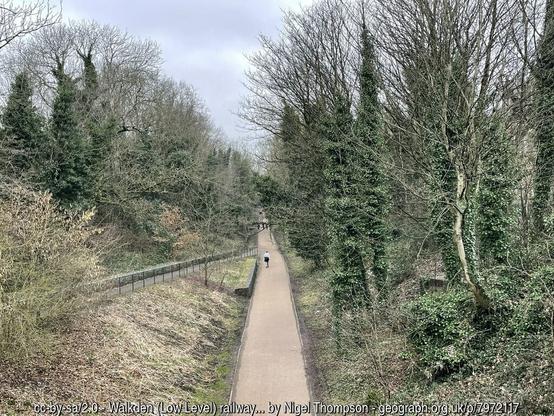 Viewed from an overbridge, long straight path in a cutting, lined with bare-limbed trees