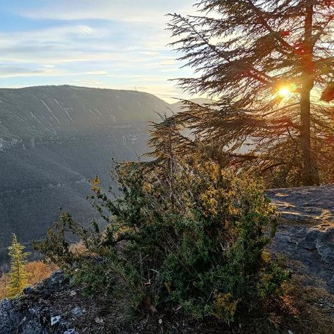 Autour d'Esparon, dans les Cévennes