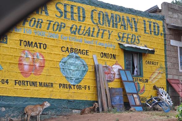 shop for farming seeds